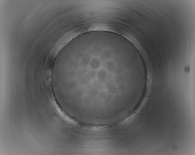 X0000111510849200907141334