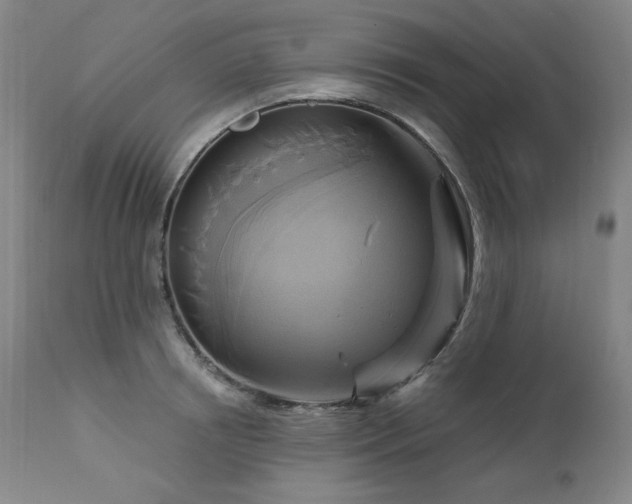 X0000111510850200907141334