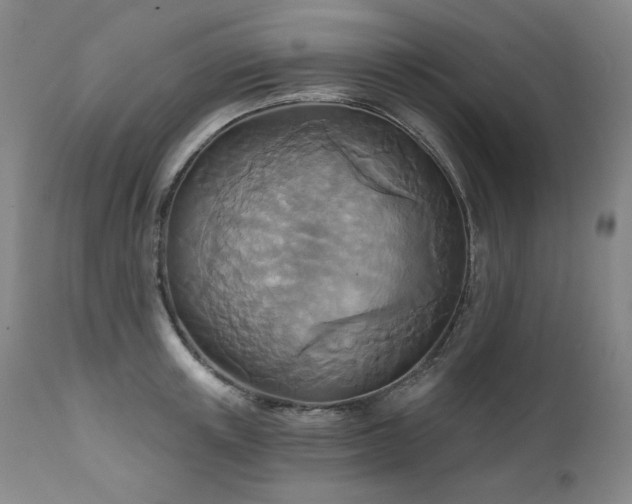 X0000111510851200907141334