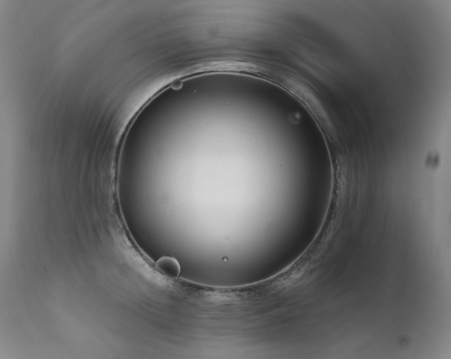 X0000111510852200907141334