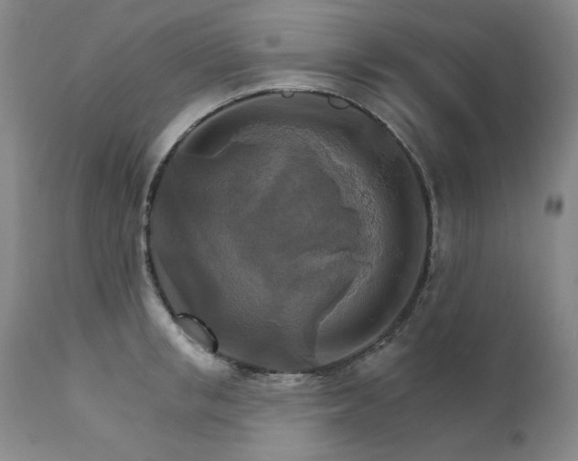 X0000111510853200907141334
