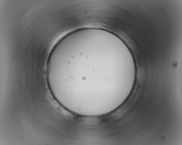 X0000111510856200907141334