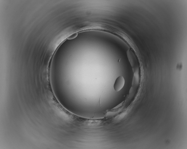 X0000111510858200907141334