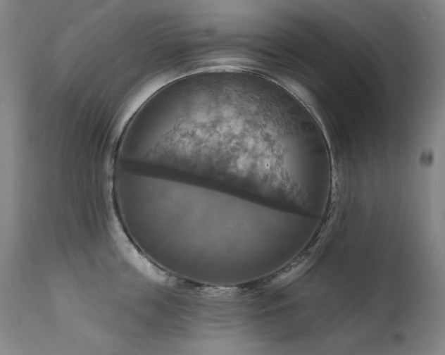 X0000111510859200907141334