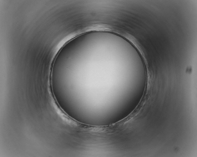 X0000111510861200907141334