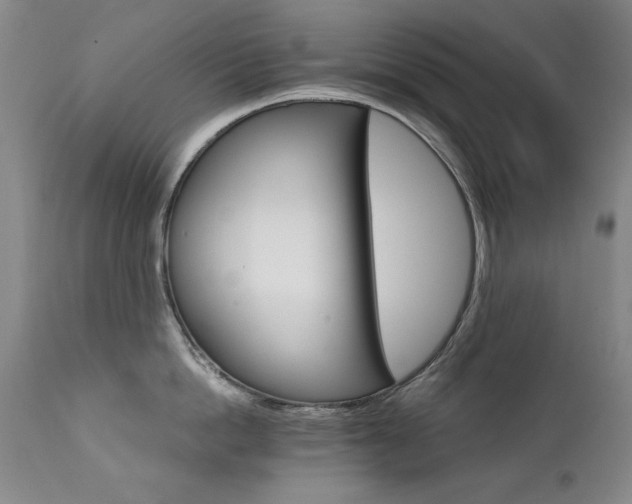 X0000111510862200907141334