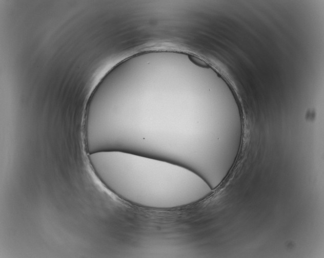 X0000111510863200907141334