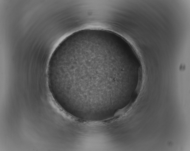 X0000111510864200907141334