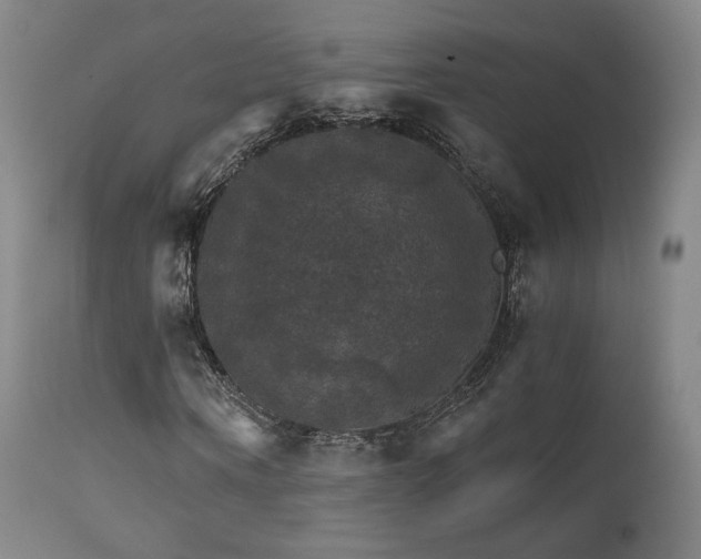 X0000111510866200907141333