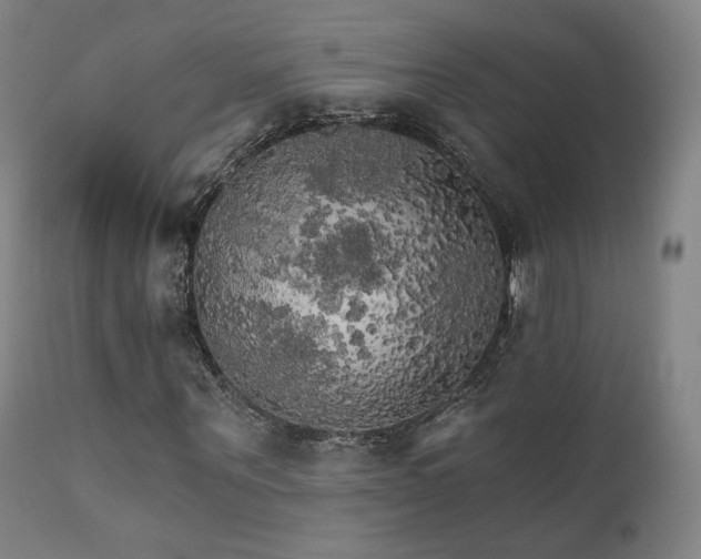 X0000111510867200907141333