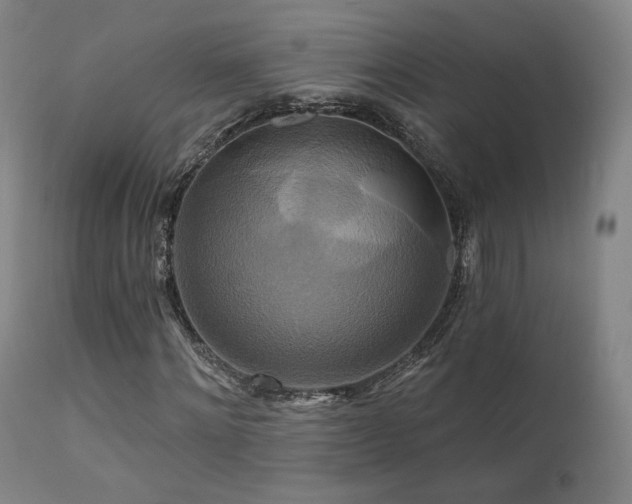 X0000111510868200907141333