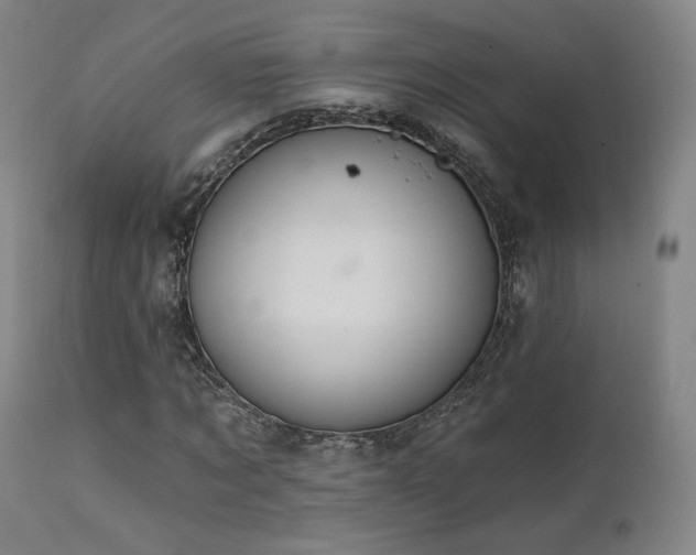X0000111510869200907141333
