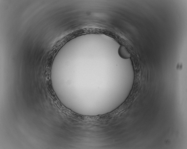 X0000111510870200907141333