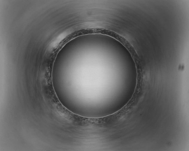 X0000111510871200907141333