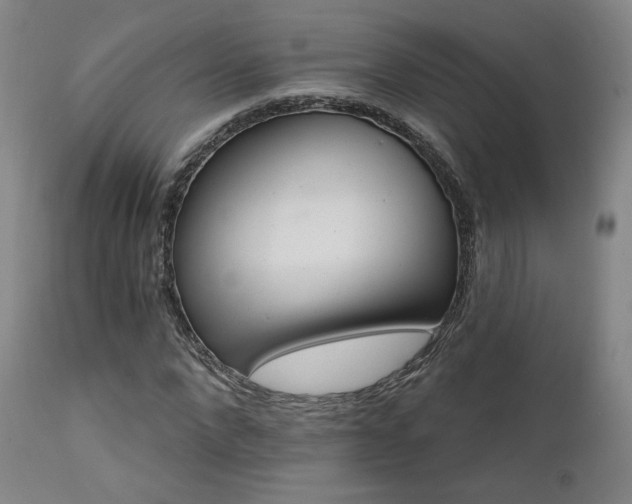 X0000111510872200907141333