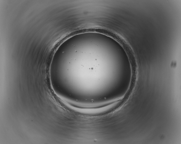 X0000111510873200907141333