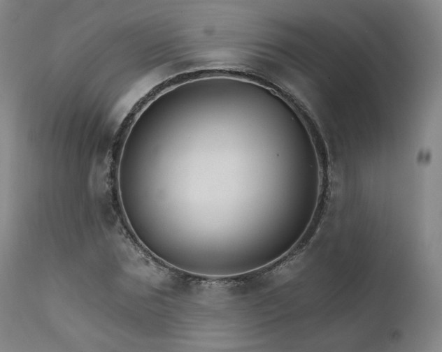 X0000111510875200907141333