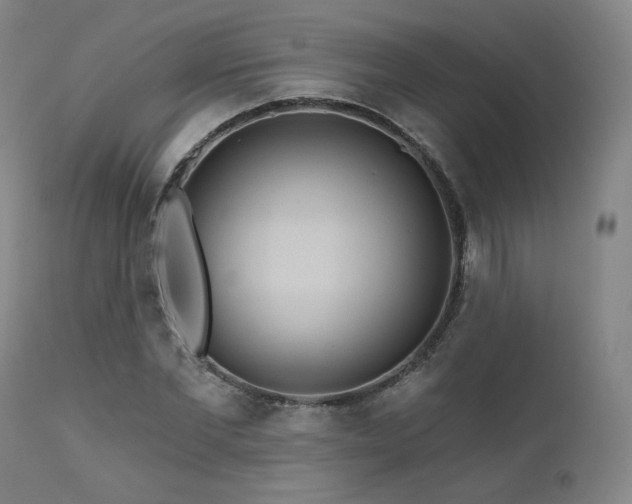 X0000111510877200907141333