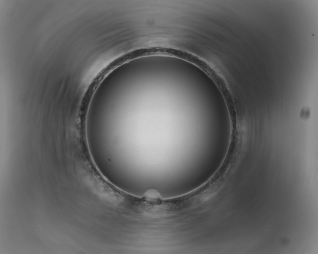 X0000111510879200907141333