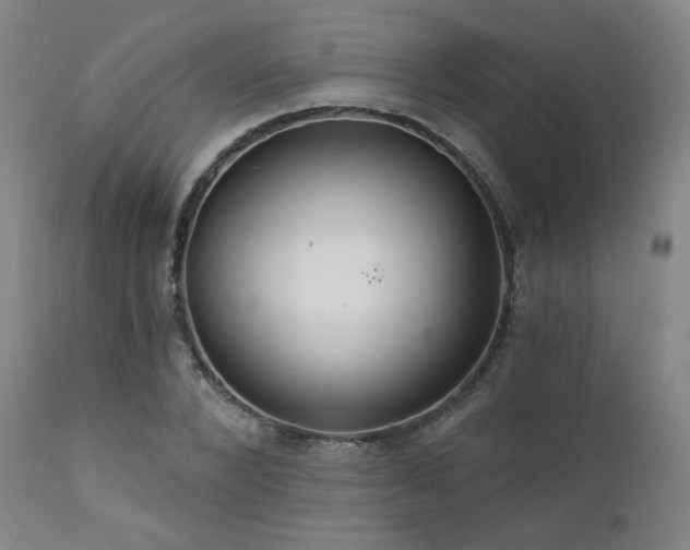 X0000111510880200907141333