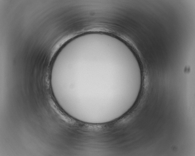 X0000111510882200907141333
