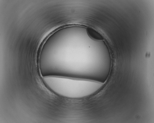 X0000111510884200907141333