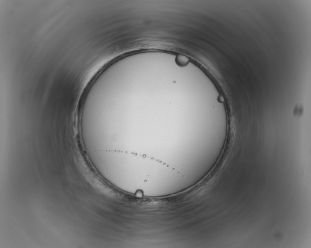 X0000111510891200907141333