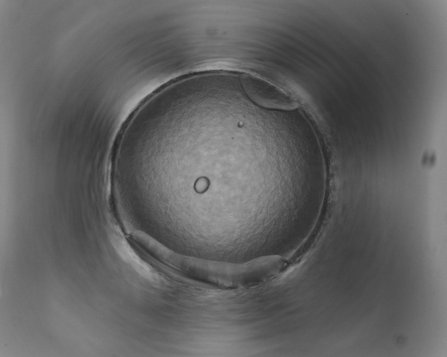 X0000111510892200907141333