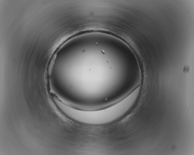 X0000111510893200907141333