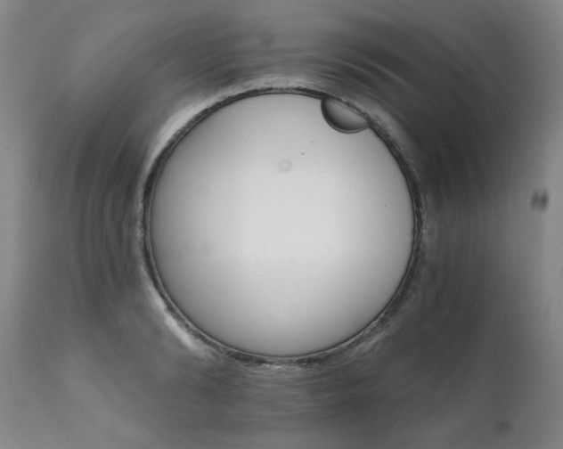 X0000111510894200907141333