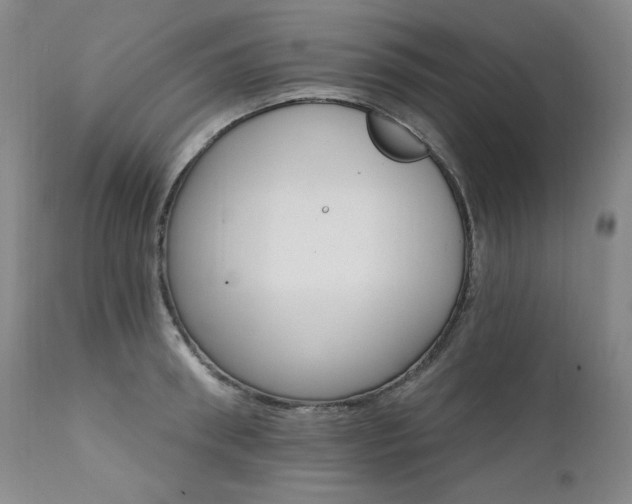 X0000111510898200907141333
