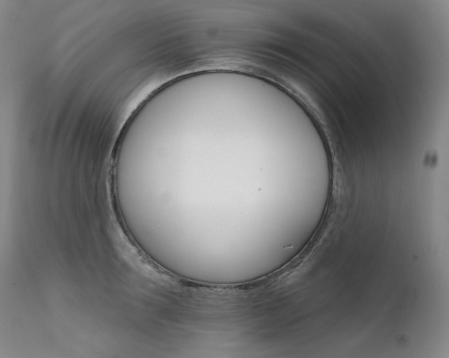 X0000111510899200907141333