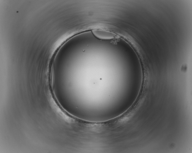 X0000111510902200907141333