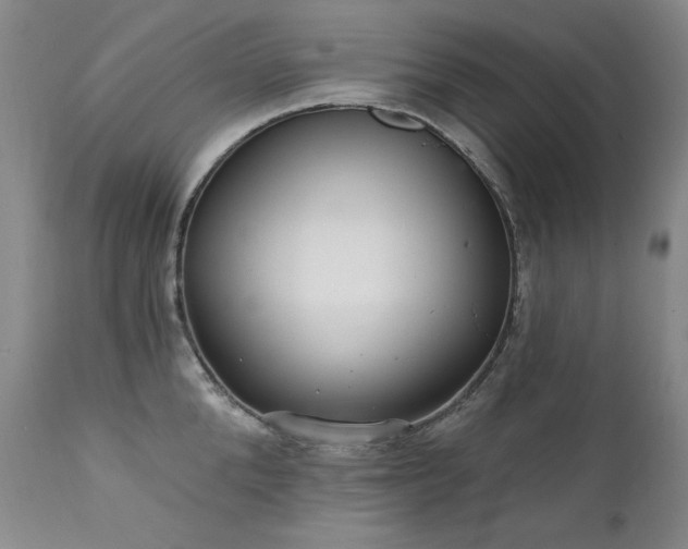X0000111510904200907141333