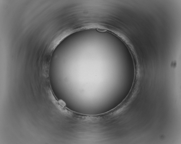 X0000111510905200907141333