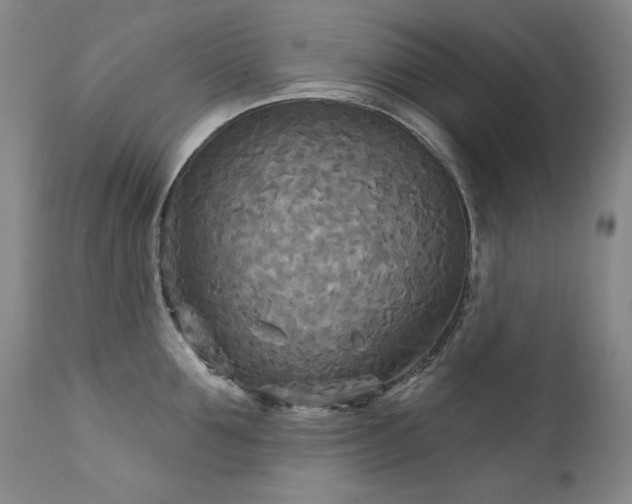 X0000111510907200907141333