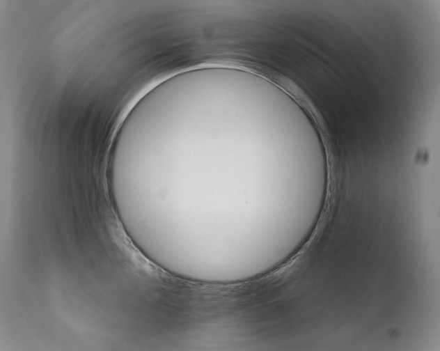 X0000111510908200907141333