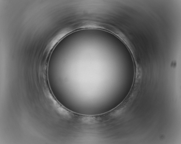 X0000111510909200907141333