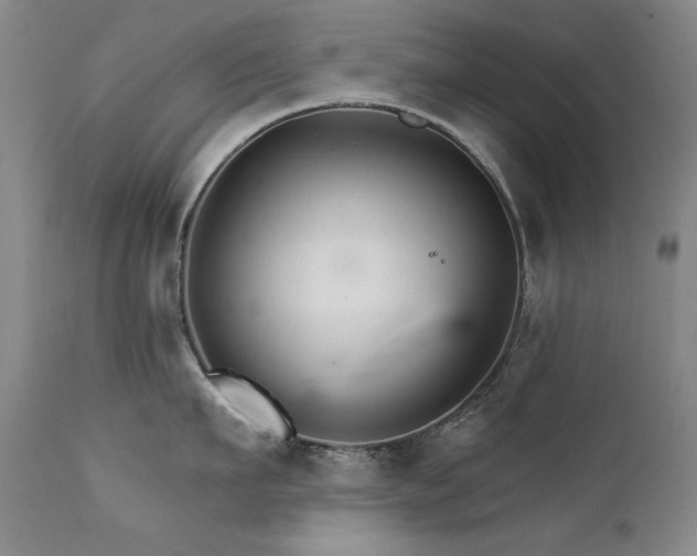 X0000111510911200907141333