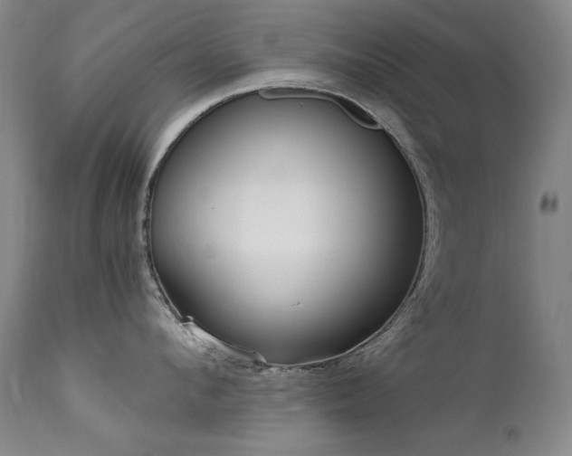 X0000111510912200907141333