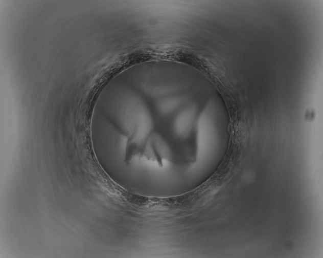 X0000111510913200907141332
