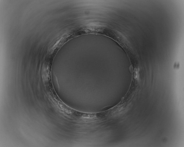 X0000111510915200907141332
