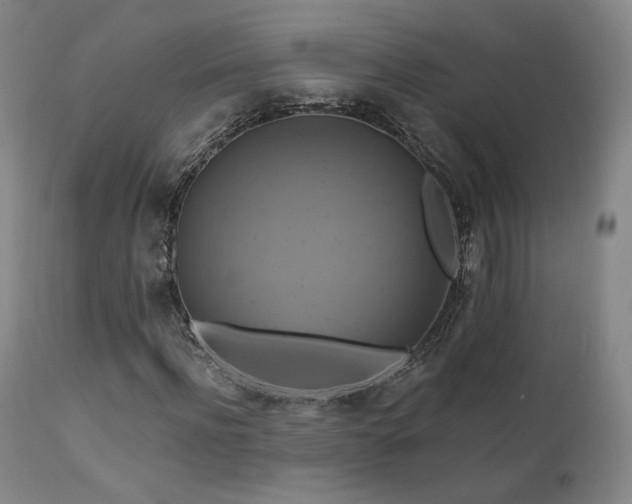 X0000111510916200907141332