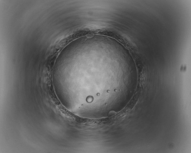 X0000111510917200907141332