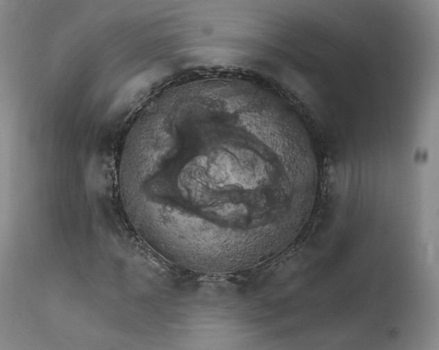 X0000111510918200907141332