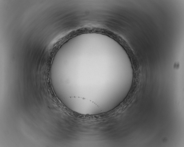 X0000111510919200907141332