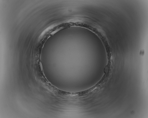 X0000111510920200907141332