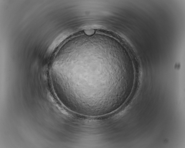 X0000111510921200907141332