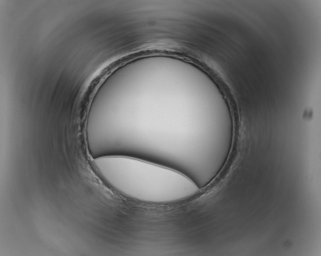 X0000111510923200907141332