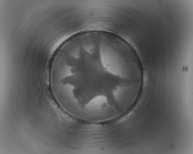 X0000111510925200907141332